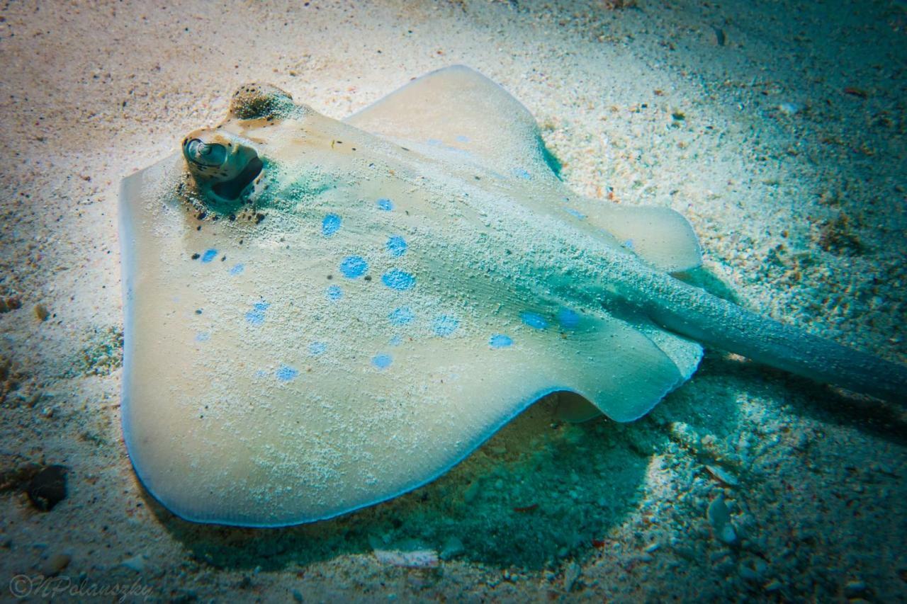 Forra Dive Resort Pattaya Beach Koh Lipe Exterior foto