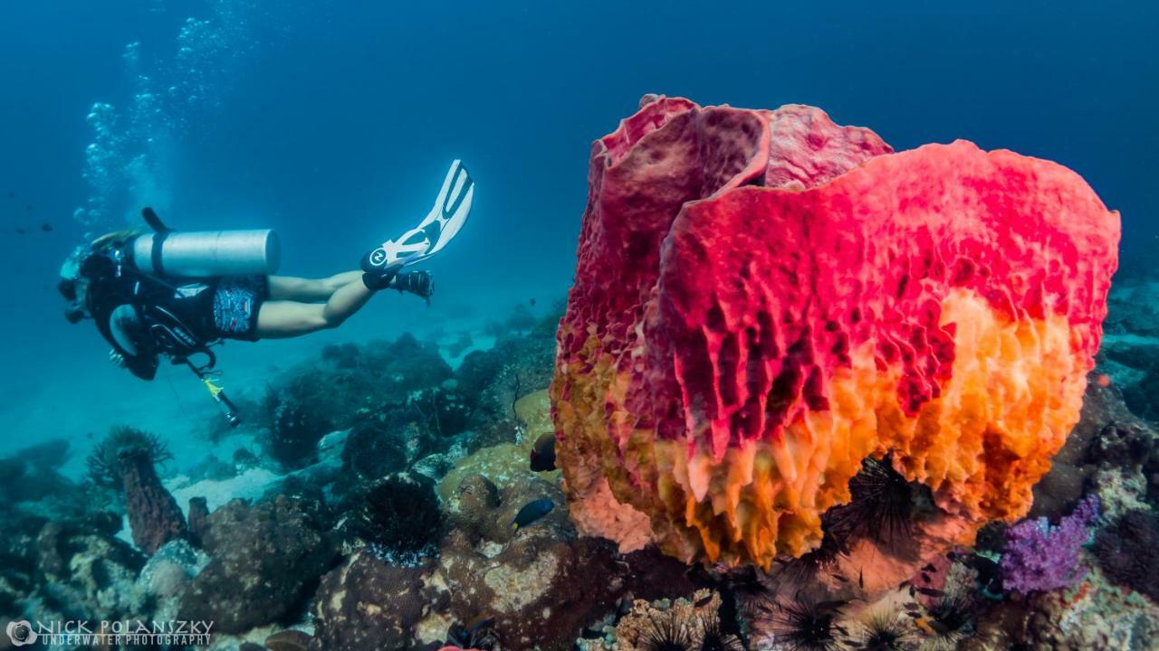 Forra Dive Resort Pattaya Beach Koh Lipe Exterior foto