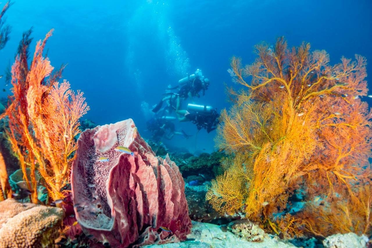 Forra Dive Resort Pattaya Beach Koh Lipe Exterior foto